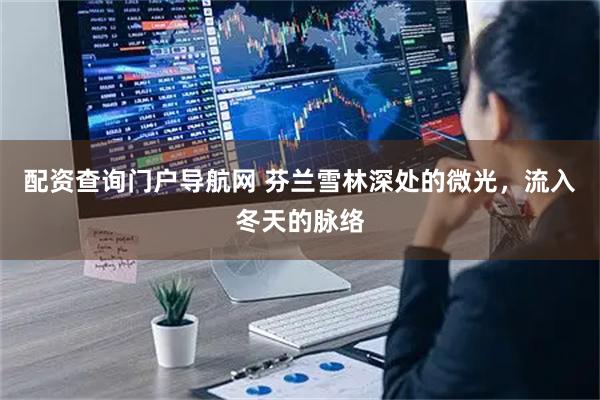 配资查询门户导航网 芬兰雪林深处的微光，流入冬天的脉络